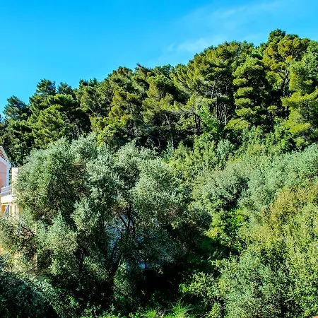 شقة Simona's Loft *